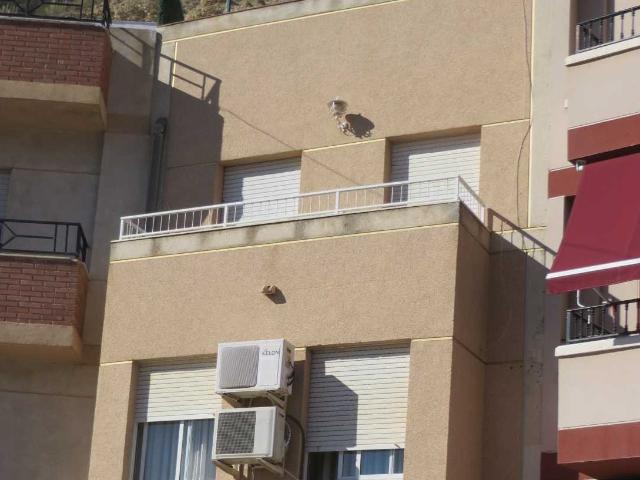 Piso en venta en Vega Alta del Segura, Murcia