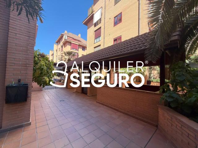 Apartamento en alquiler en Moncloa-Aravaca, Madrid