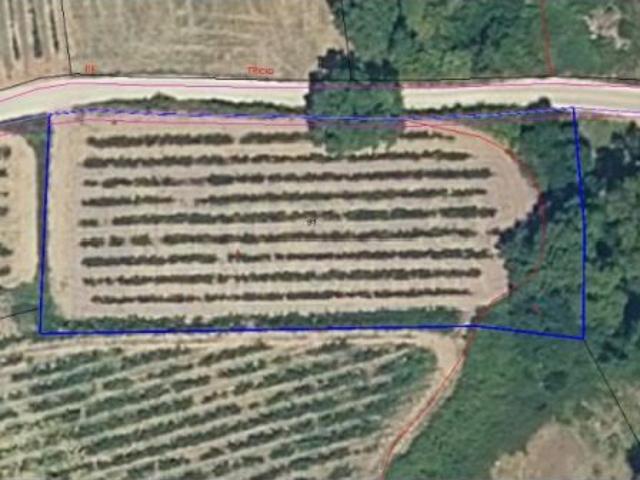 Local Comercial en venta en Alesón, La Rioja
