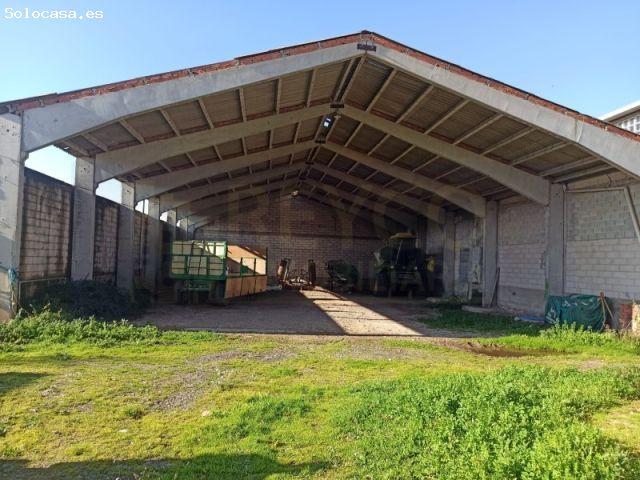 Local Comercial en venta en Tricio, La Rioja