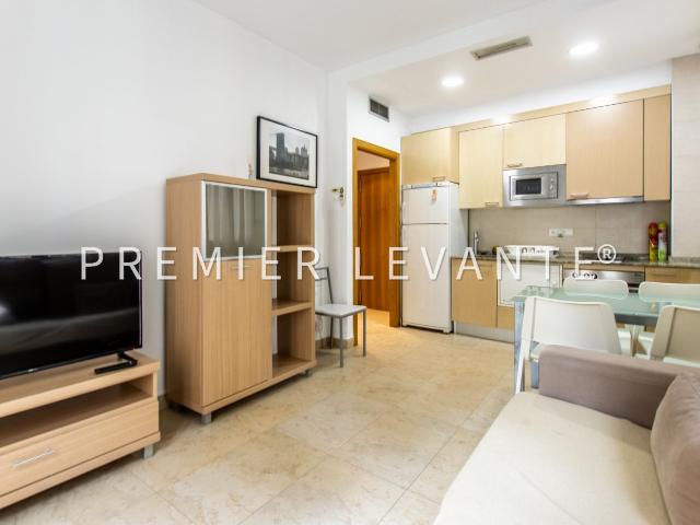Apartamento en alquiler en Centro, l'Alacantí