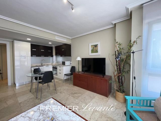 Apartamento en alquiler en Centro, l'Alacantí