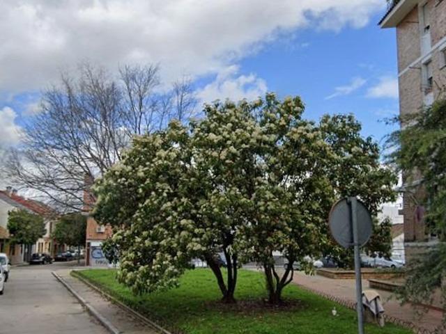 Piso en venta en Distrito Centro, Córdoba