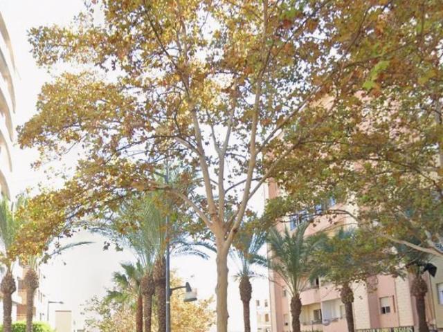 Piso en venta en El Ejido, Andalucía