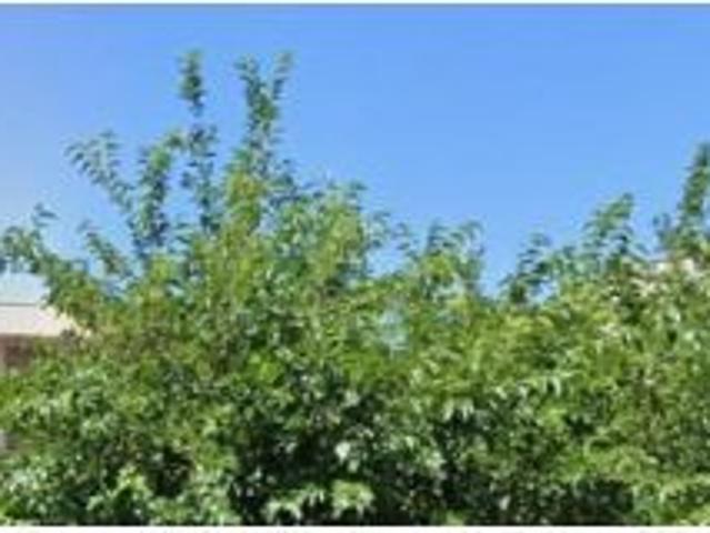 Piso en venta en Comarca de la Vega de Granada, Andalucía