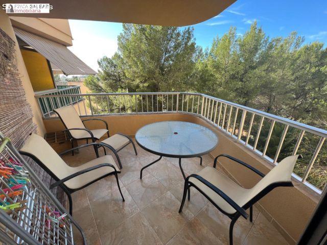 Piso en alquiler en Sant Agustí, Palma