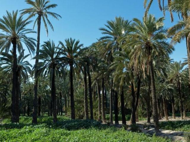 Piso en venta en Jubalcoi, el Baix Vinalopó