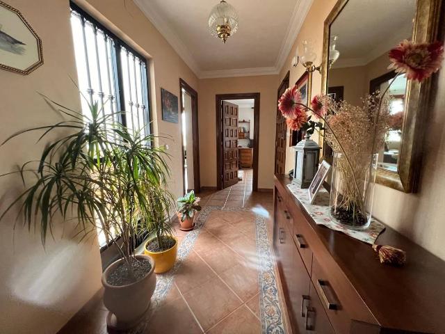 Piso en venta en Alameda