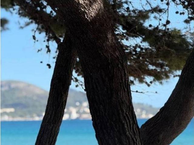 Piso en venta en Raiguer, Baleares