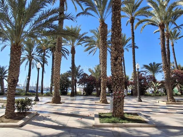 Piso en venta en Casco Antiguo - Santa Cruz - Ayuntamiento, Alacant / Alicante