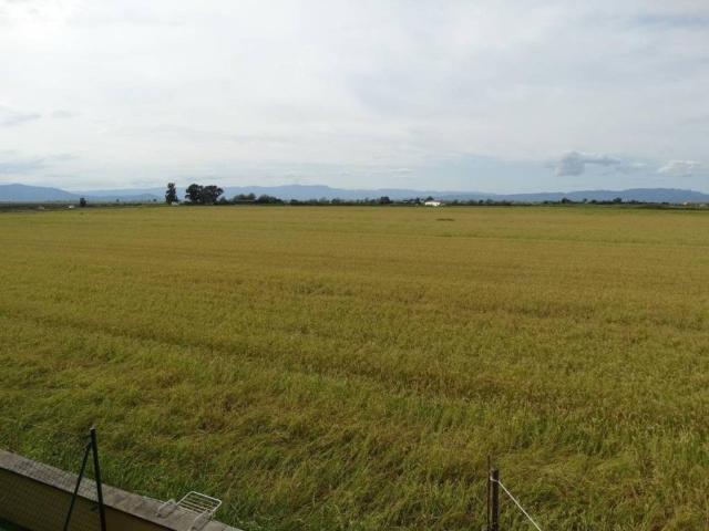 Piso en venta en l'Eucaliptus, Montsià