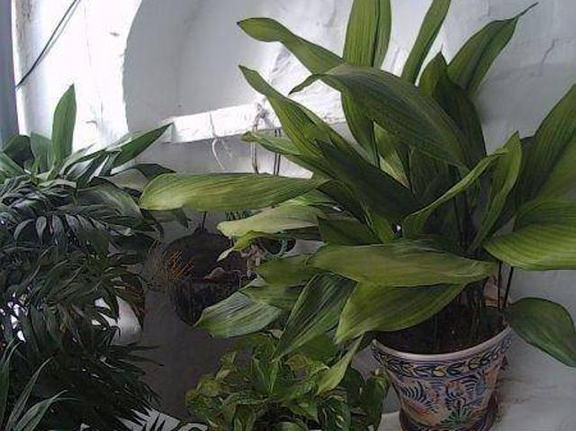 Piso en venta en Sierra de Cádiz, Andalucía