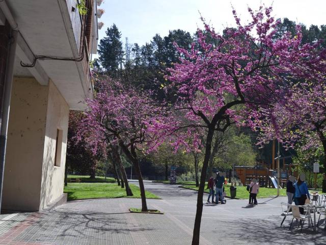 Piso en venta en Arrigorriaga, Cubo