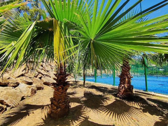 Piso en venta en la Montgoda, la Selva