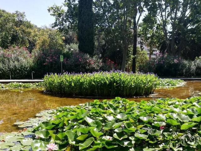 Piso en venta en Barcelona, Sant Gervasi - Galvany
