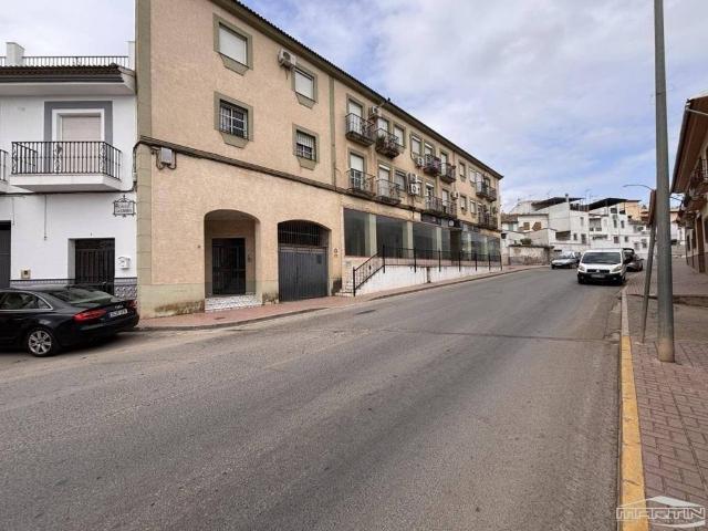 Piso en venta en Benamejí, Andalucía