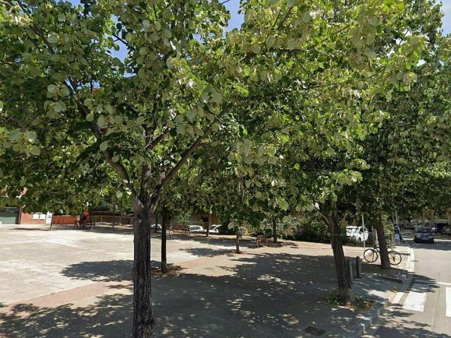 Piso en venta en el Remei, Osona