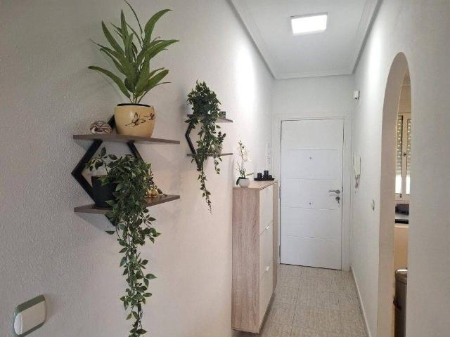 Piso en venta en el Baix Segura / La Vega Baja, Valencia
