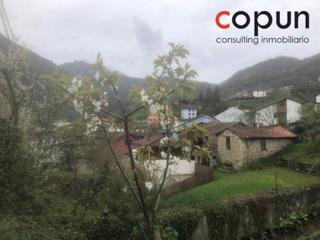 Piso en venta en Caso, Asturias