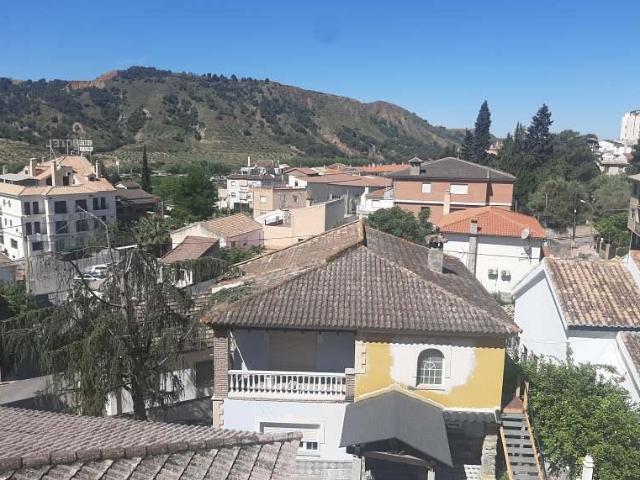 Piso en venta en Cenes De La Vega, Urbanización la Cantona