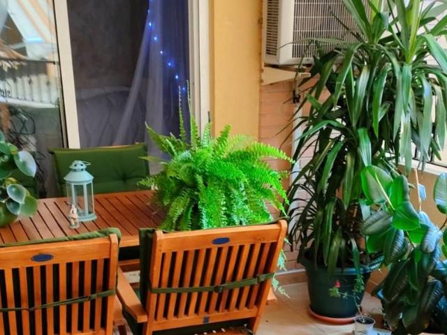 Piso en venta en San Vicente Del Raspeig, la Borinquen