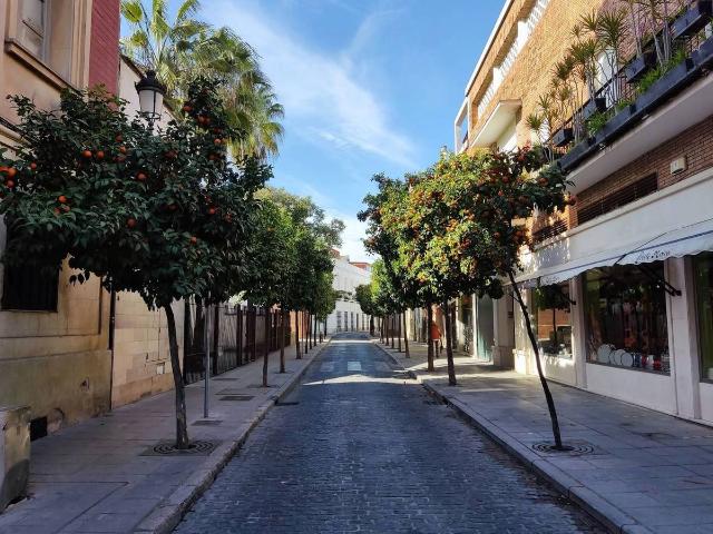 Piso en venta en San Marcos, Campiña de Jerez