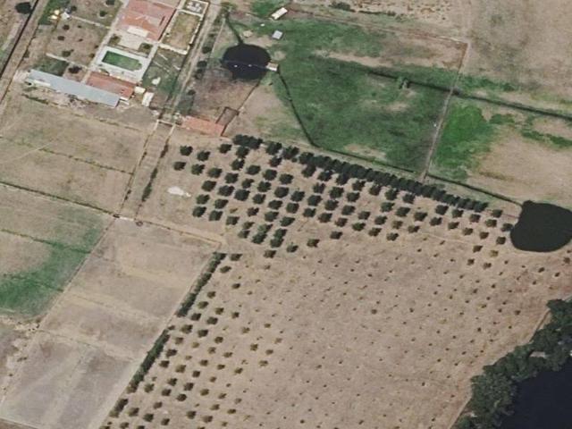Piso en venta en Ciudad Rodrigo, Castilla y León