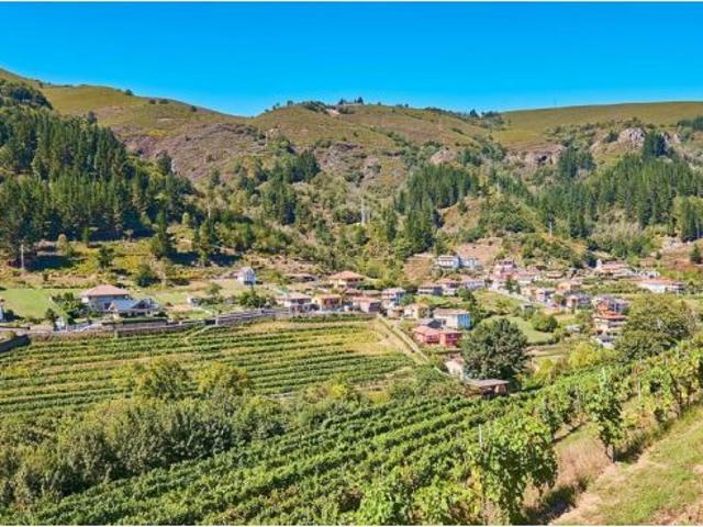 Piso en venta en Cangas Del Narcea, Asturias