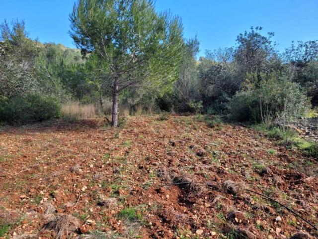 Piso en venta en la Marina Alta, Valencia