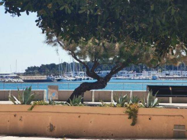 Piso en venta en L'escala, Camp dels Pilans