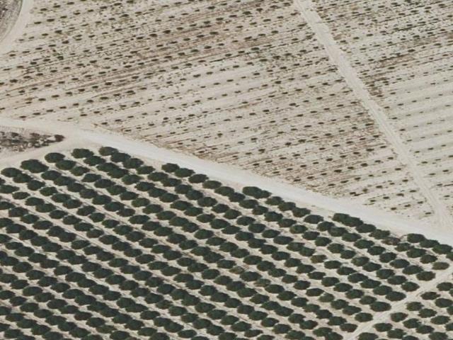 Piso en venta en Torrealta, Vega Media del Segura