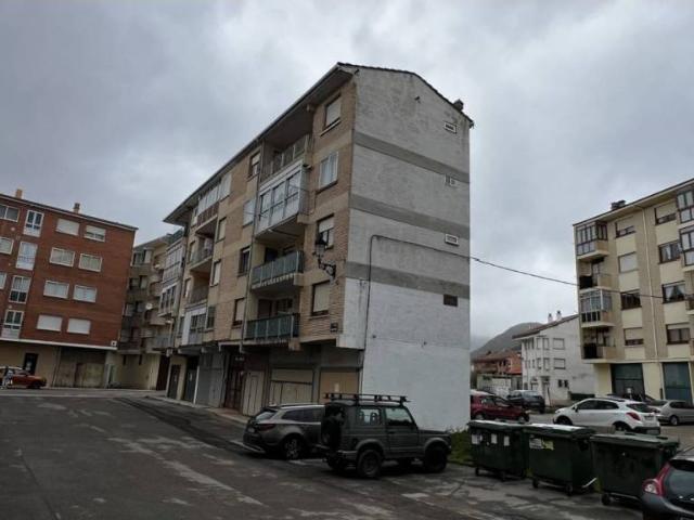 Piso en venta en Espinosa De Los Monteros, Castilla y León