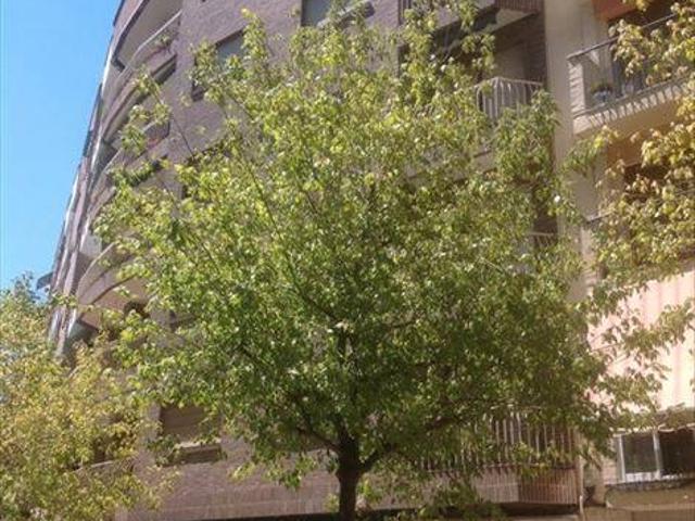 Piso en venta en Centro, Granada