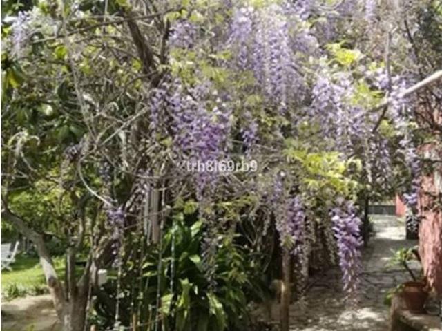 Piso en venta en Serranía de Ronda, Andalucía