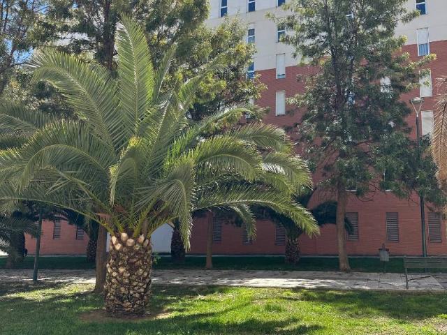 Piso en venta en Badajoz, Casco Antiguo