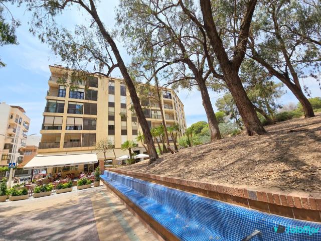 Piso en venta en Guardamar Del Segura