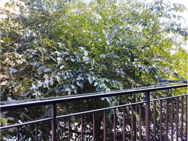 Piso en venta en Humanes De Madrid, Madrid