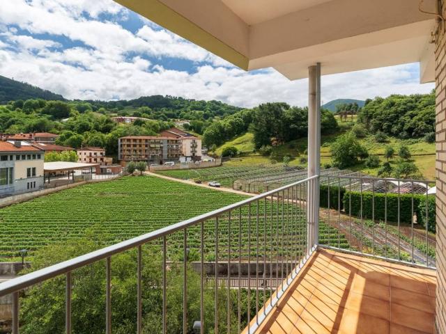 Piso en venta en Gorbeialdea, Guipúzcoa