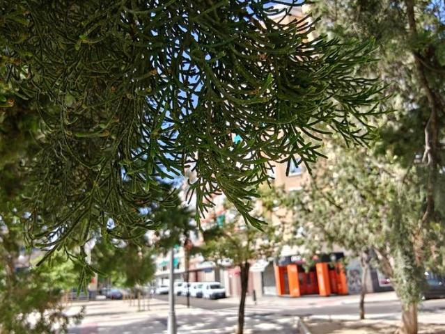 Piso en venta en Casco Histórico, Zaragoza