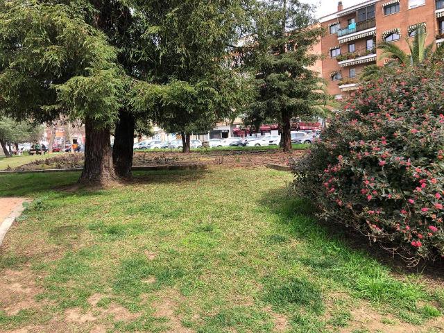 Piso en venta en Badajoz, Casco Antiguo