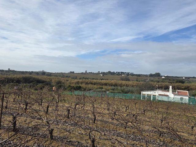 Piso en venta en La Palma del Condado, Huelva