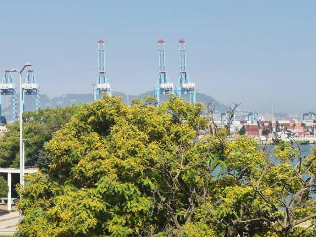 Piso en venta en Campo de Gibraltar, Andalucía