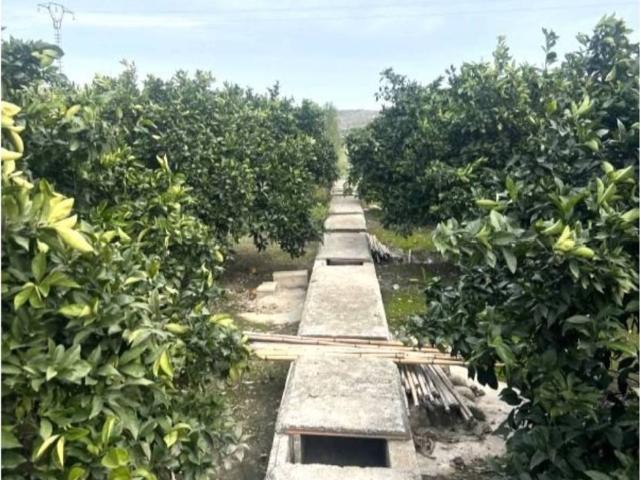 Piso en venta en la Ribera Alta, Valencia
