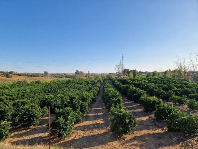 Piso en venta en Lora Del Río, Andalucía