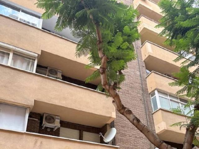 Piso en venta en Molina de Segura, Vega Media del Segura