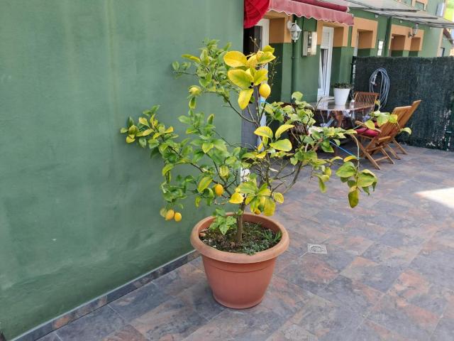 Piso en venta en Muros De Nalón, La Pumariega