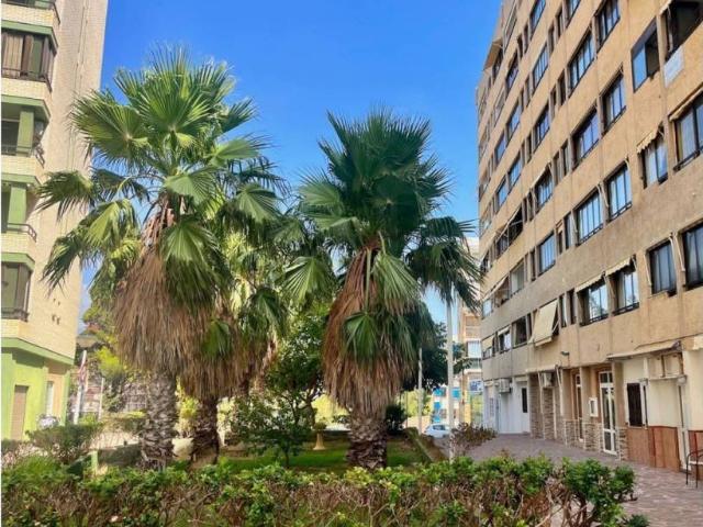 Piso en venta en la Plana Alta, Valencia