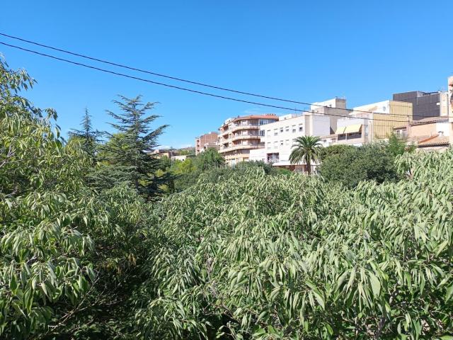 Piso en venta en Baix Ebre, Catalunya