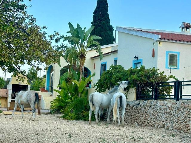 Piso en venta en Polop, Xirles Piso en venta en Polop, Xirles