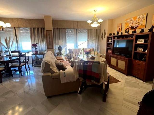 Piso en venta en Barrio de la Isla, Puente Genil